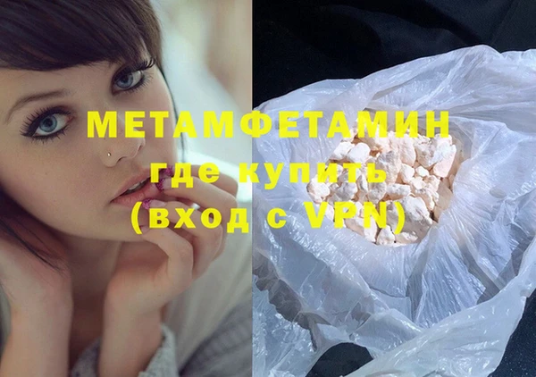 прущие грибы Магадан