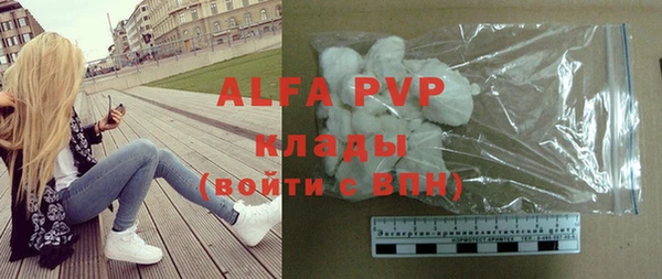 индика Нижневартовск