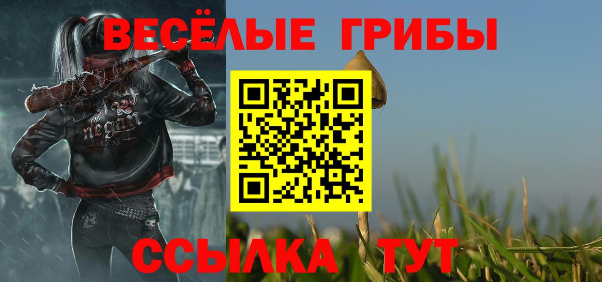 Галлюциногенные грибы Psilocybe  где можно купить   Мытищи  Вход с VPN 